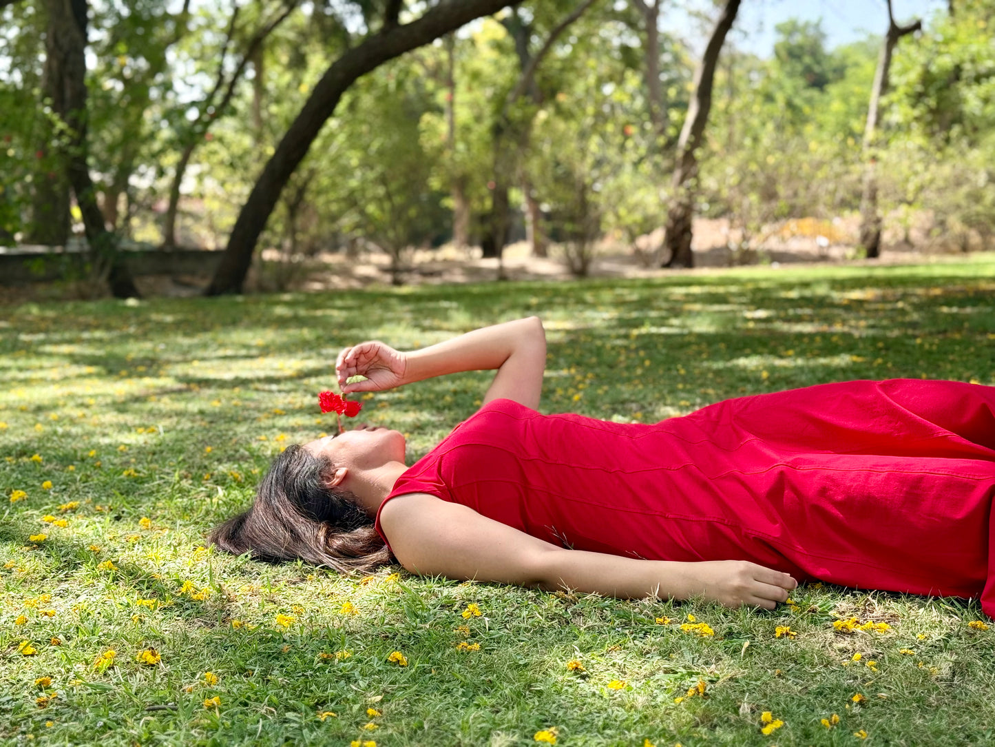 Summer Scarlet Dress