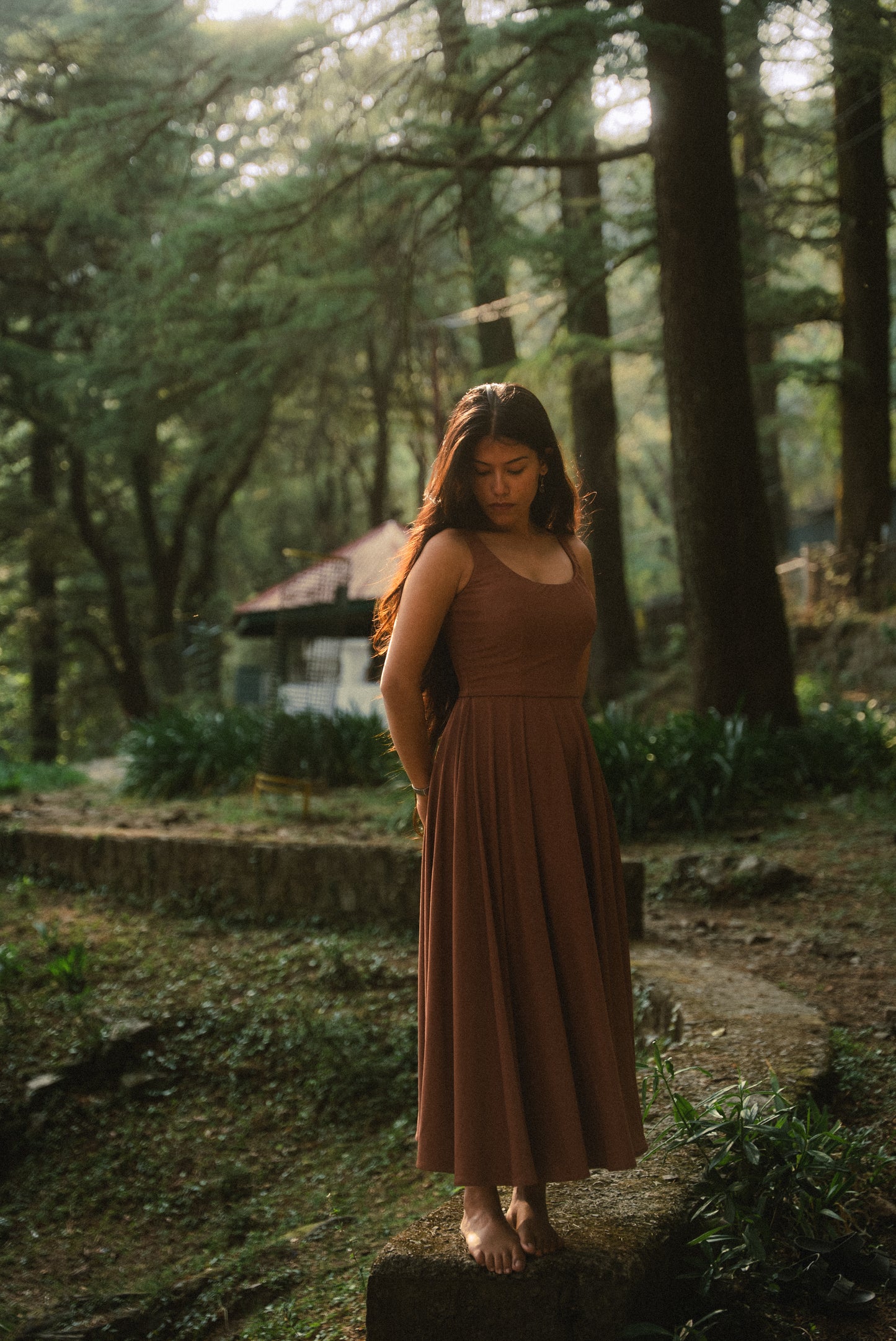 Mocha Muse Dress