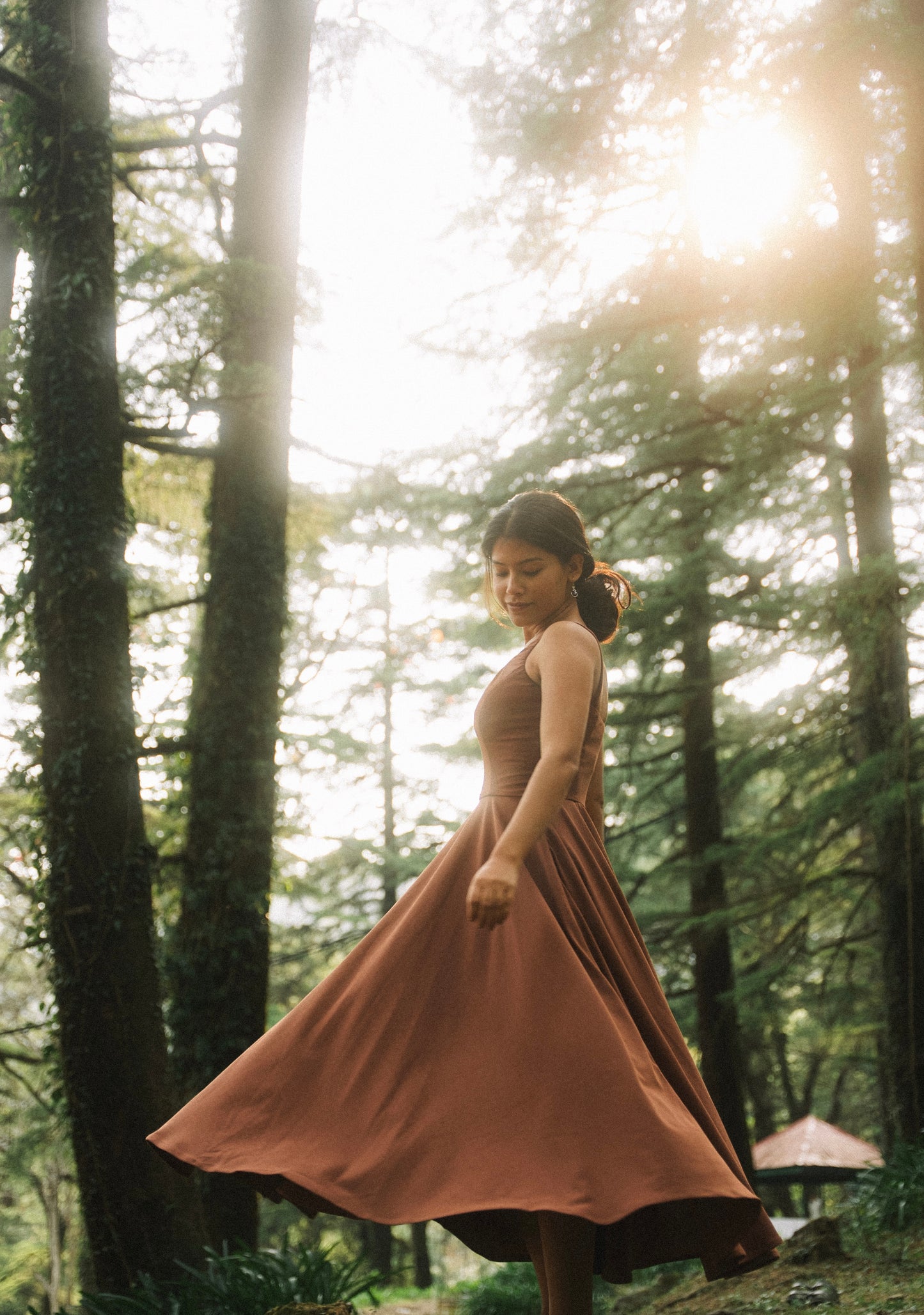 Mocha Muse Dress