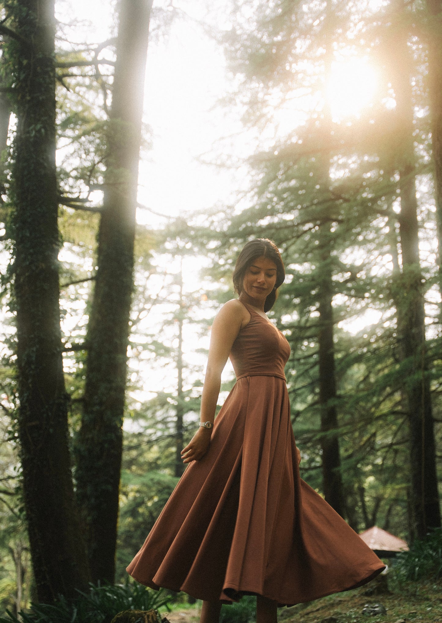Mocha Muse Dress